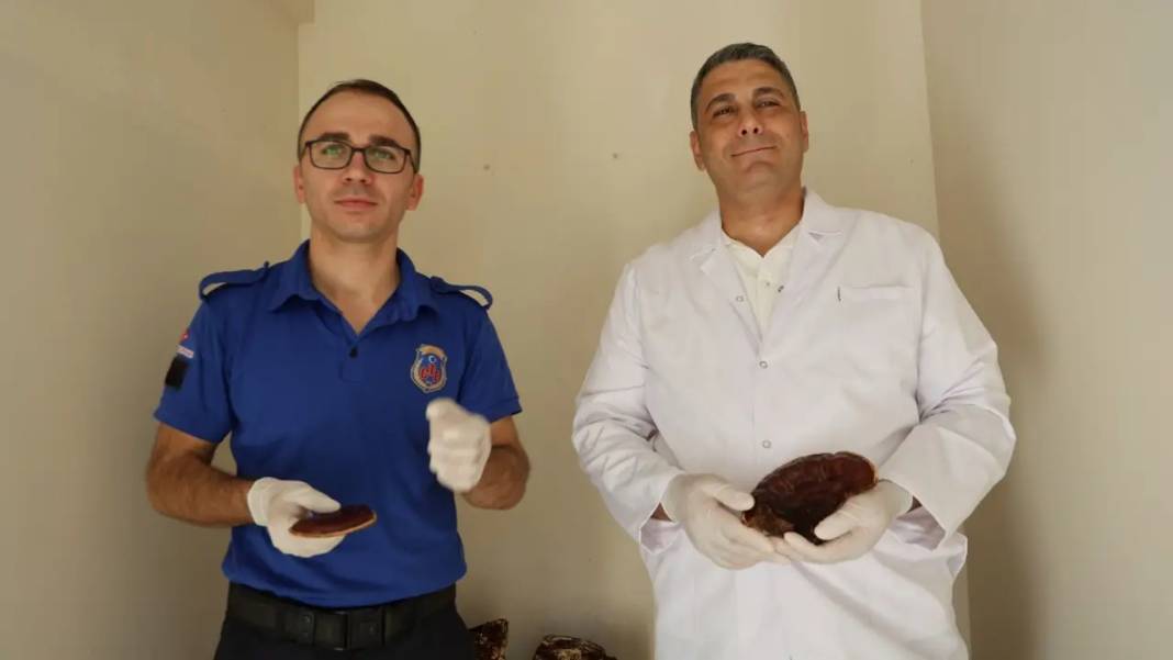 Adana’da Cezaevinde Kilogramı 15 Bin TL’lik Mantar Üretiliyor! 2